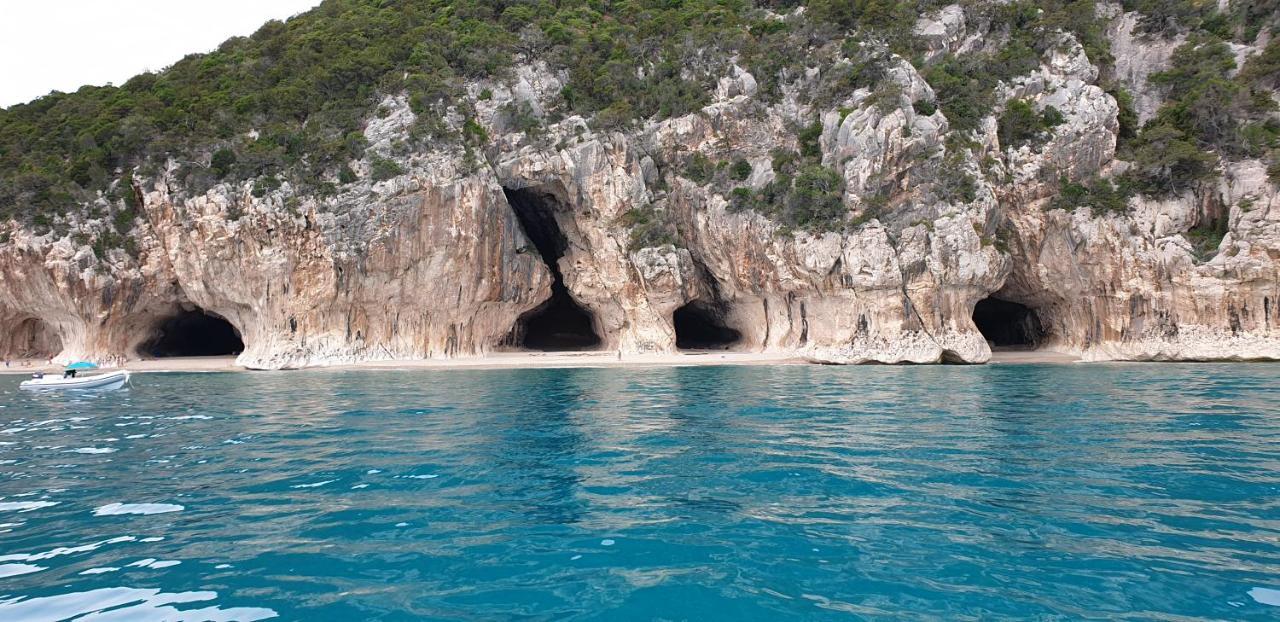 B&B Cala Luna 卡拉古诺内 外观 照片